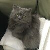 loki08
